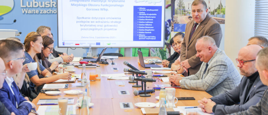 Największe partnerstwa gmin omówiły swoje strategie